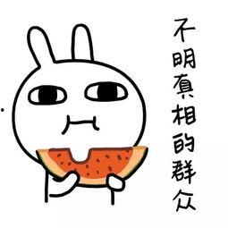 娱乐吃瓜酱经典语录,揭秘娱乐圈那些鲜为人知的幕后故事
